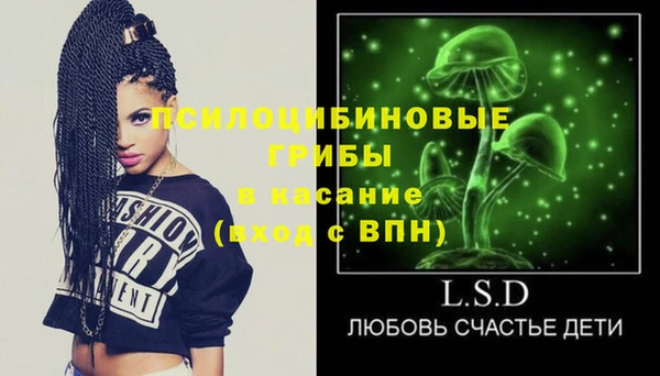 2c-b Бронницы
